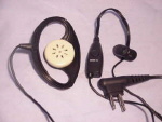 emp100